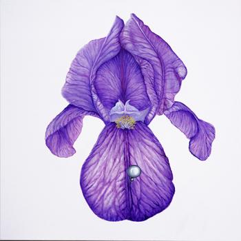 piercing oil on canvas 100x100 cm Marta Konieczny piercing violet flower iris square big purple home decoration fantastic picture best in Warsaw for modern house
