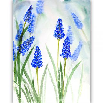 Original watercolor beauty best nature botany art modern, Marta Konieczny, for gift present, for women, green, blue, flowers, garden, 30x40 cm, best gallery, grape hyacinth