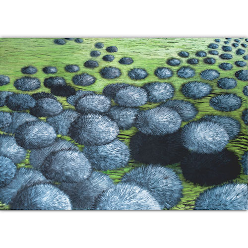 oil on canvas beautiful painting botany flowers blue huge very big present to sell
lokata kapitału kolory ciepłe i zimne malarstwo botaniczne malarstwo olejne
abstarkcyjny przyroda natura botanika ogród dla kobiety na rocznicę na ślub piękne kolory ziel