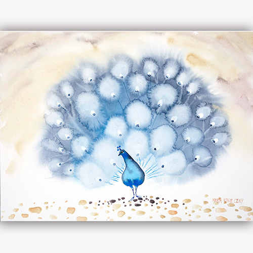 Original watercolor beauty best nature botany art modern Marta Konieczny  for gift present  for children  for women  blue  gold  art gallery  peacock  bird  30x40 cm