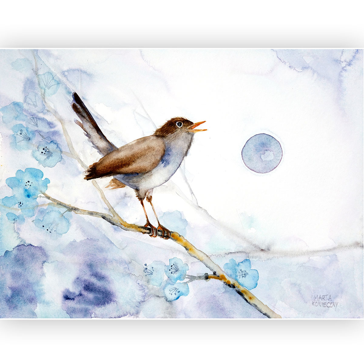 oryginalna akwarela 30x40 cm Marta Konieczny najlepsza najpiękniejsza nowoczesna na prezent na rocznicę dla ornitologa dla kobiety dla żony niebieska zielona kwiaty natura ptaki SŁOWIK