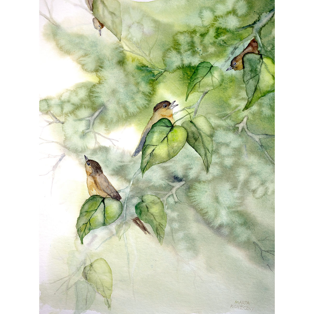 Watercolour: four small brown and ochre birds among heart-shaped green leaves on thin twigs — the middle one with its beak open, the others scattered towards the corners; the ground blurred wet on wet, in greens and bare paper