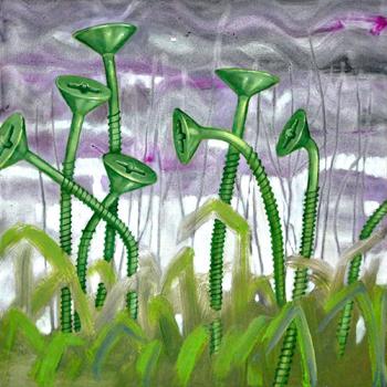  ANTY-ECO