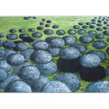 oil on canvas beautiful painting botany flowers blue huge very big present to sell
lokata kapitału kolory ciepłe i zimne malarstwo botaniczne malarstwo olejne
abstarkcyjny przyroda natura botanika ogród dla kobiety na rocznicę na ślub piękne kolory ziel