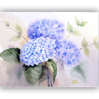 Original botanical watercolor painting of purple and blue lavender hydrangeas by Marta Konieczny on Saunders Waterford paper.