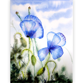 Watercolour: two large translucent poppies in blues and violets, each with a dark violet centre, on hairy green stems; several closed buds beside them, blue sky with clouds above and a dark green-black thicket below