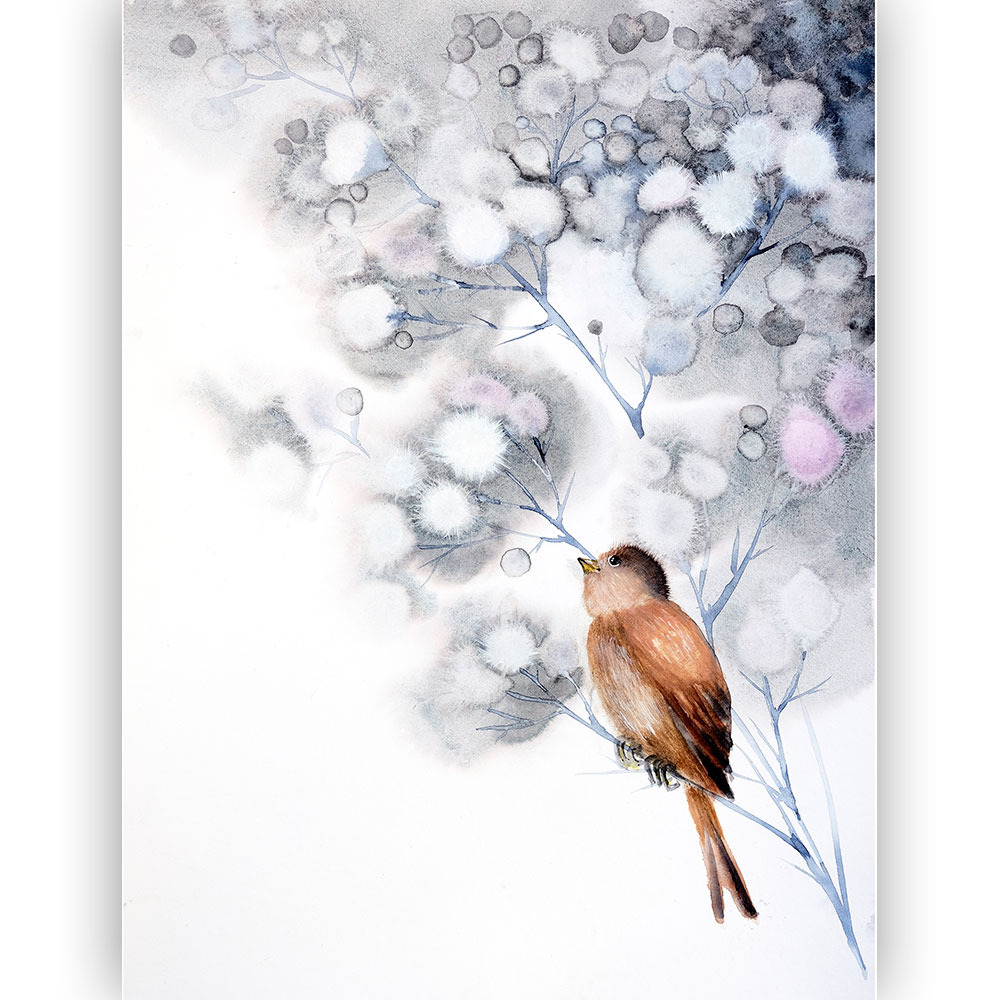 Watercolour: a small rust-brown bird sits on a pale blue twig, looking upward; soft white pompom blossoms with grey and pink washes above and beside it, the lower left of the sheet left almost bare