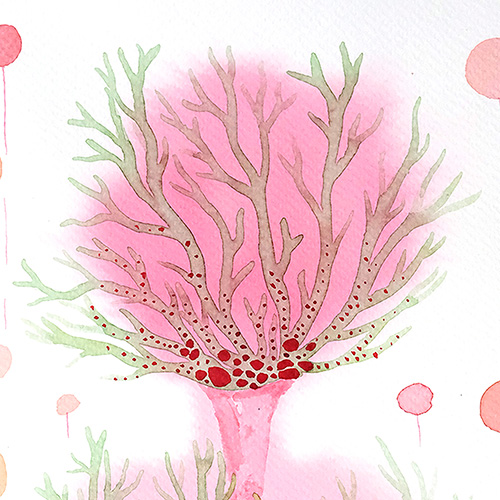 original watercolor aquarelle Marta Konieczny best beautiful gallery modern art for present for gift for bedroom for salon on wall for birthday for order botanical pink red tree of happiness