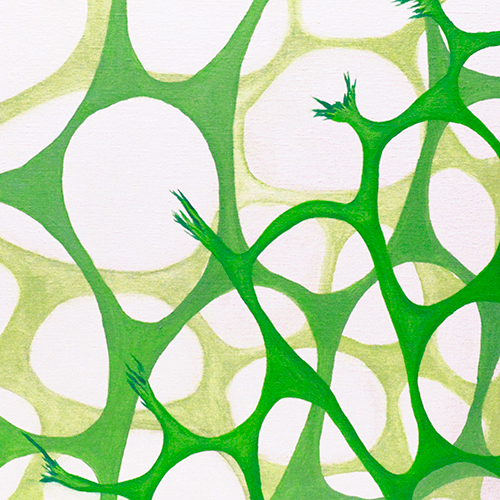 oil on canvas  best oil painting  Marta Konieczny  home decoration  for gift  for women  botany  nature  plants  organic  beautiful  modern  green  white  square  Marta Konieczny  structure  abstract
