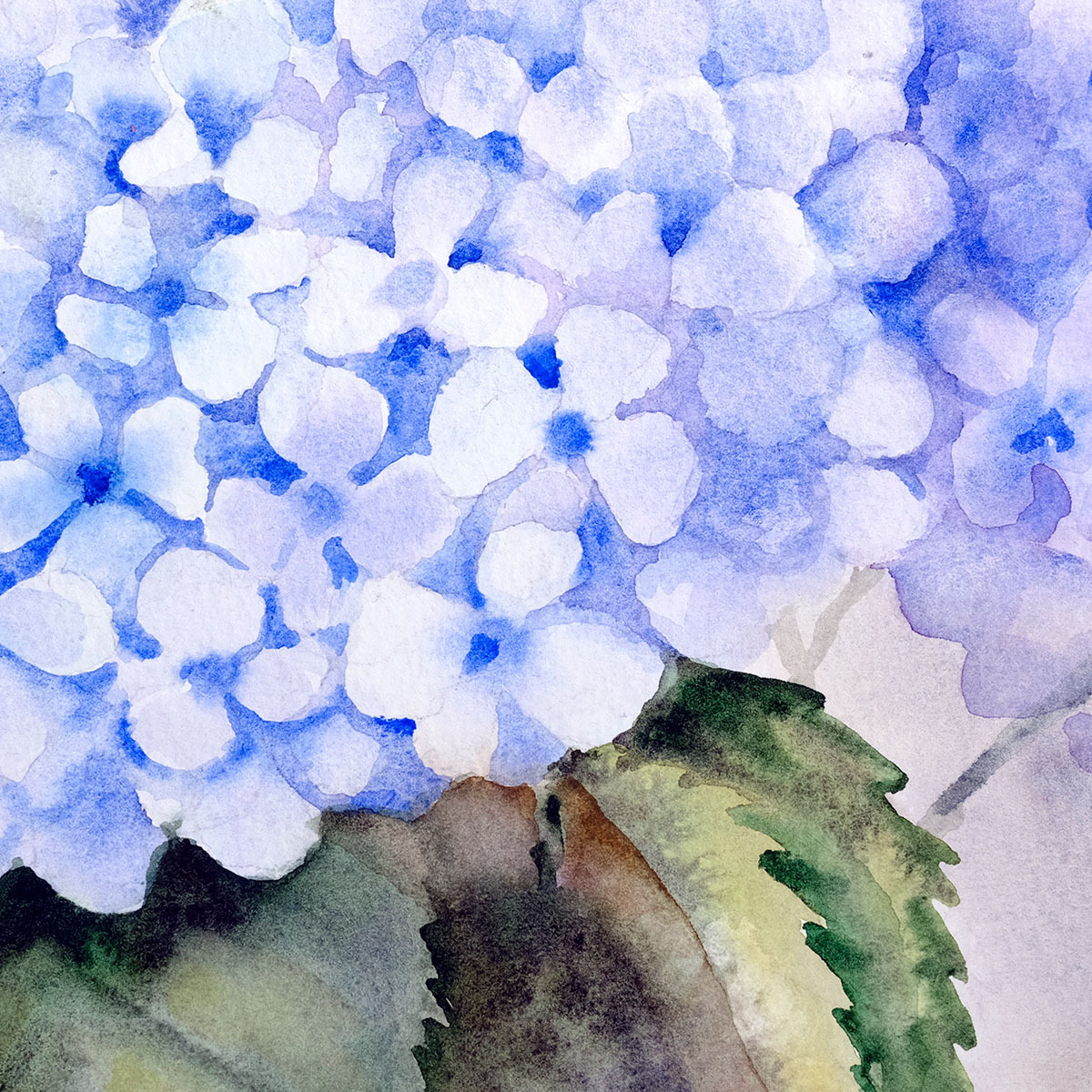 Oryginalna akwarela przedstawiająca fioletowo-niebieskie hortensje autorstwa Marty Konieczny na papierze Saunders Waterford.
