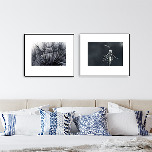 art foto photo art black and white nature plants wild nature macro photography decoration home best popular beautiful Marta Koniecznyplant polish garden old framed