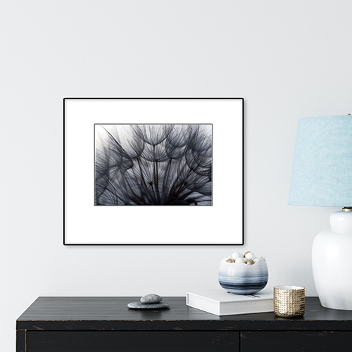 art foto photo art black and white nature plants wild nature macro photography decoration home best popular beautiful Marta Konieczny plant flying seeds dandelion framed