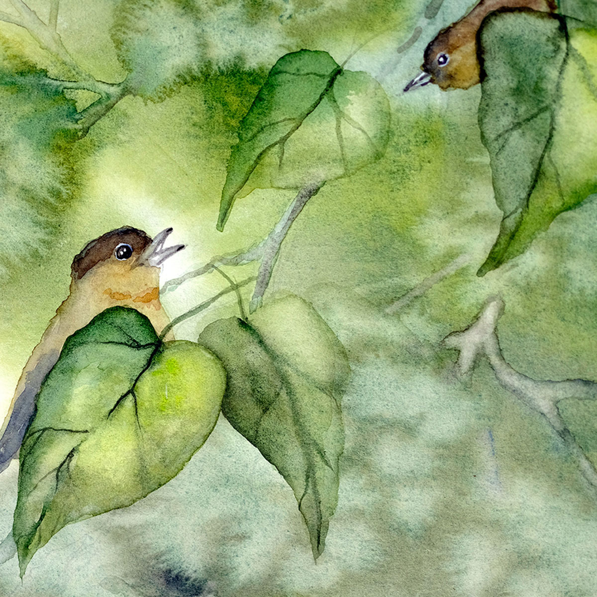 DAWN CHORUS